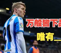 詹森八大配对鸽眼图片